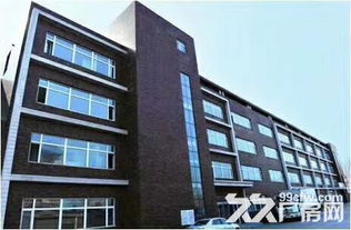 汽车产业链驱动 优质工业厂房与汽车租赁“双轨”赋能发展策略